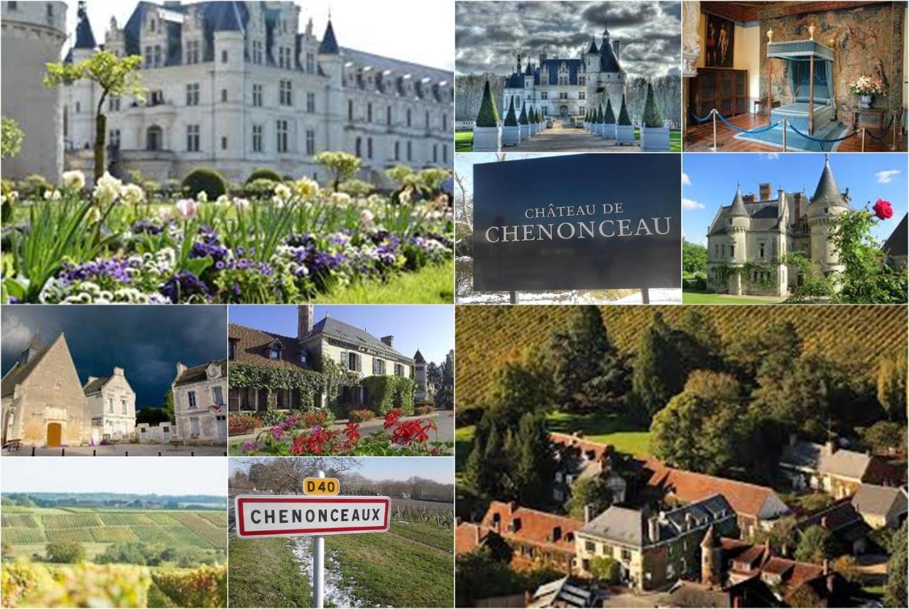 Le Roi Coq Bed and Breakfast Chenonceaux Exteriör bild