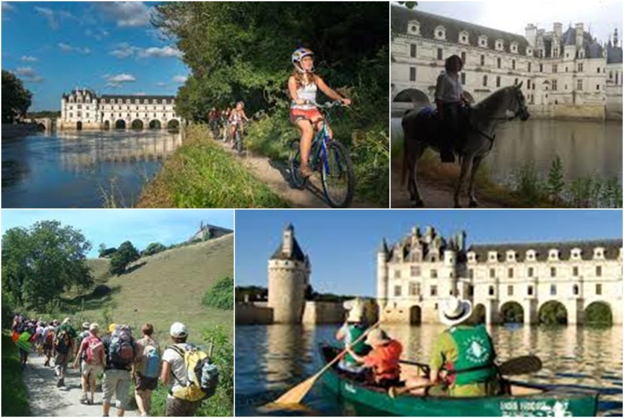 Le Roi Coq Bed and Breakfast Chenonceaux Exteriör bild